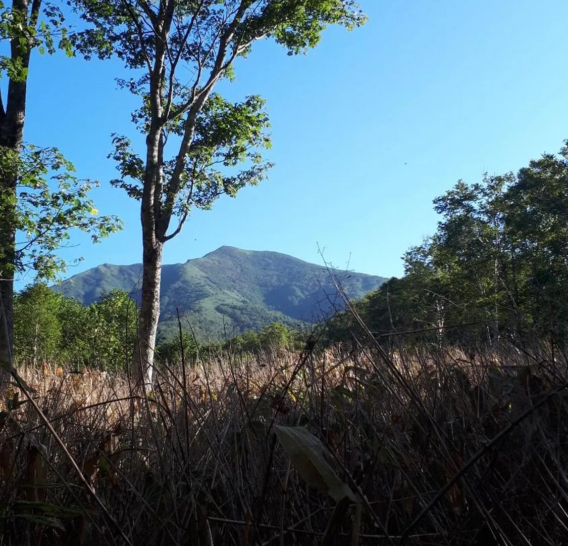 Bistare Kana Niseko