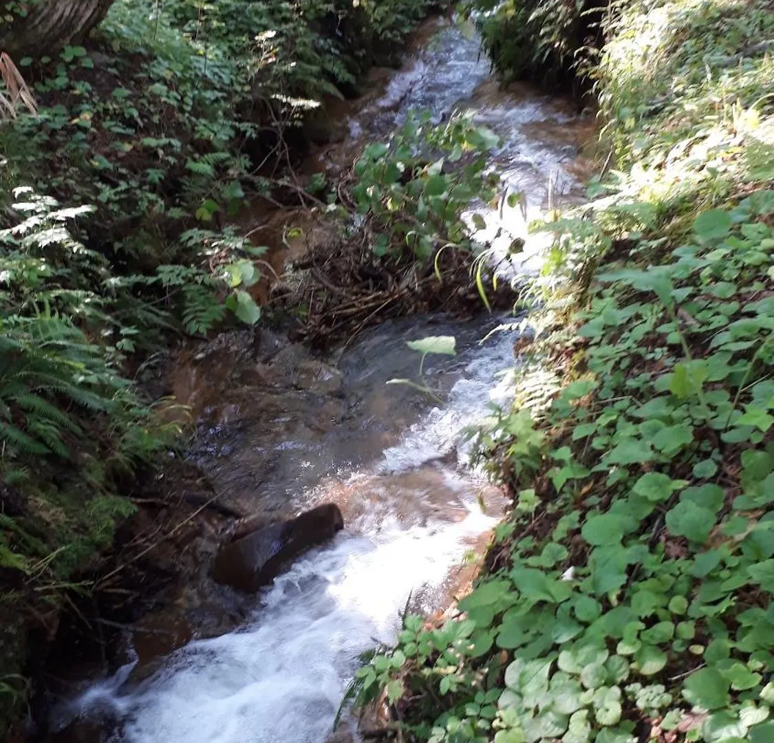 Ryokan Bistare Kana Niseko