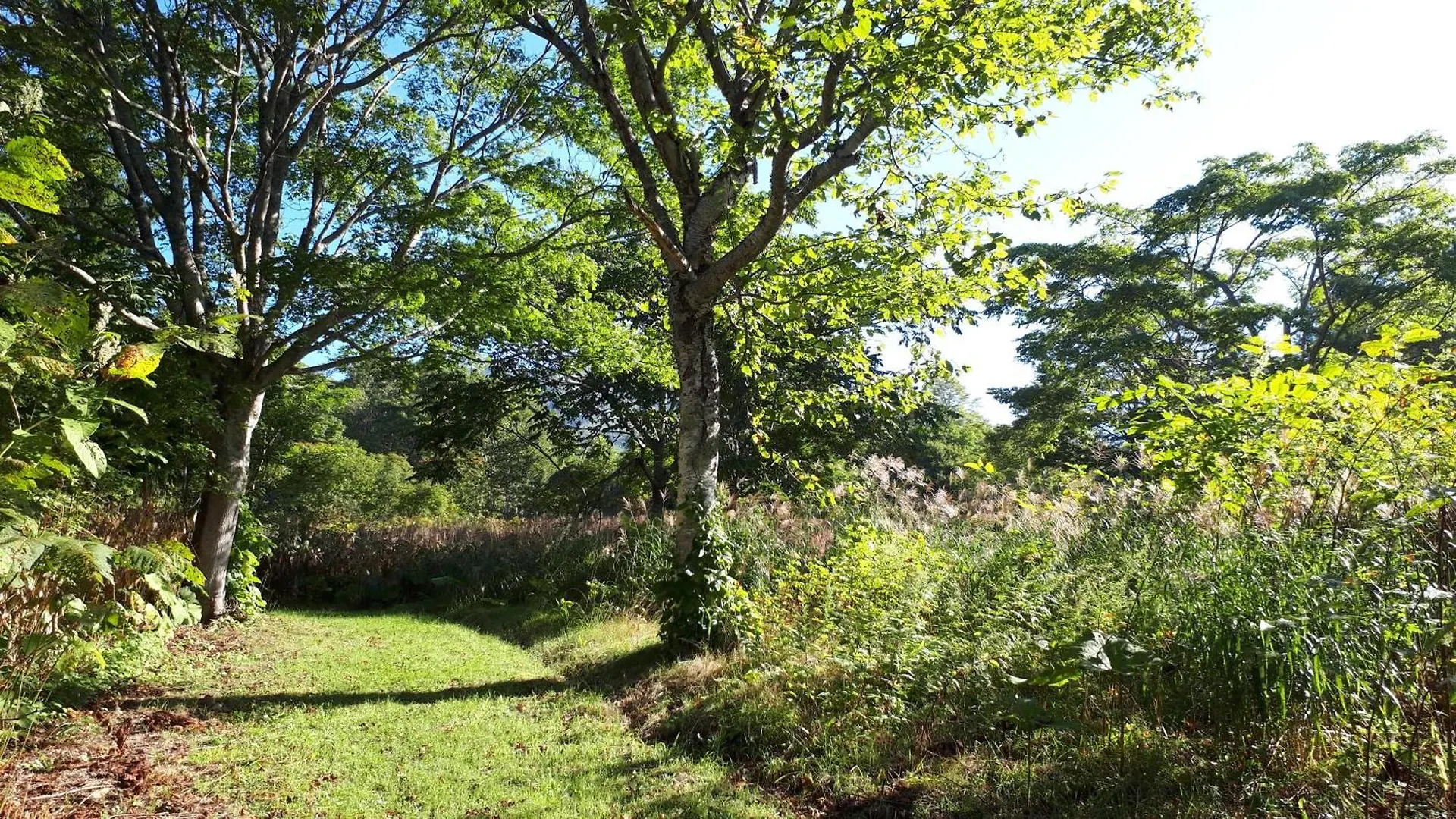 Bistare Kana Niseko