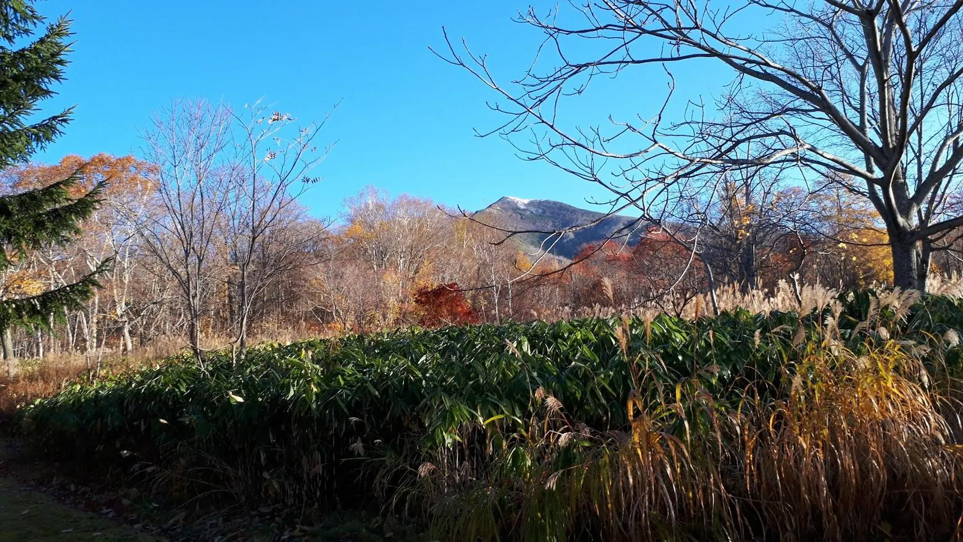 Bistare Kana Niseko Ryokan