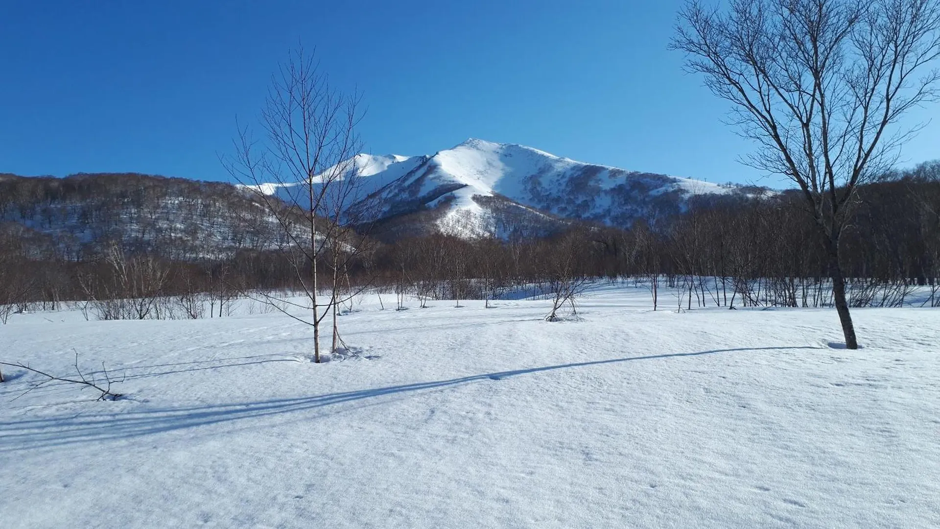 Bistare Kana Niseko