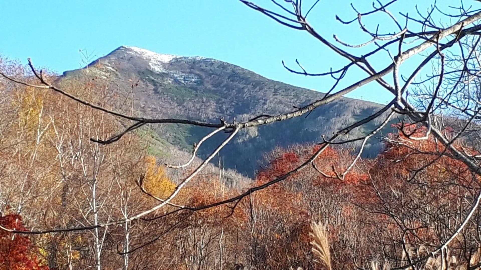 Ryokan Bistare Kana Niseko