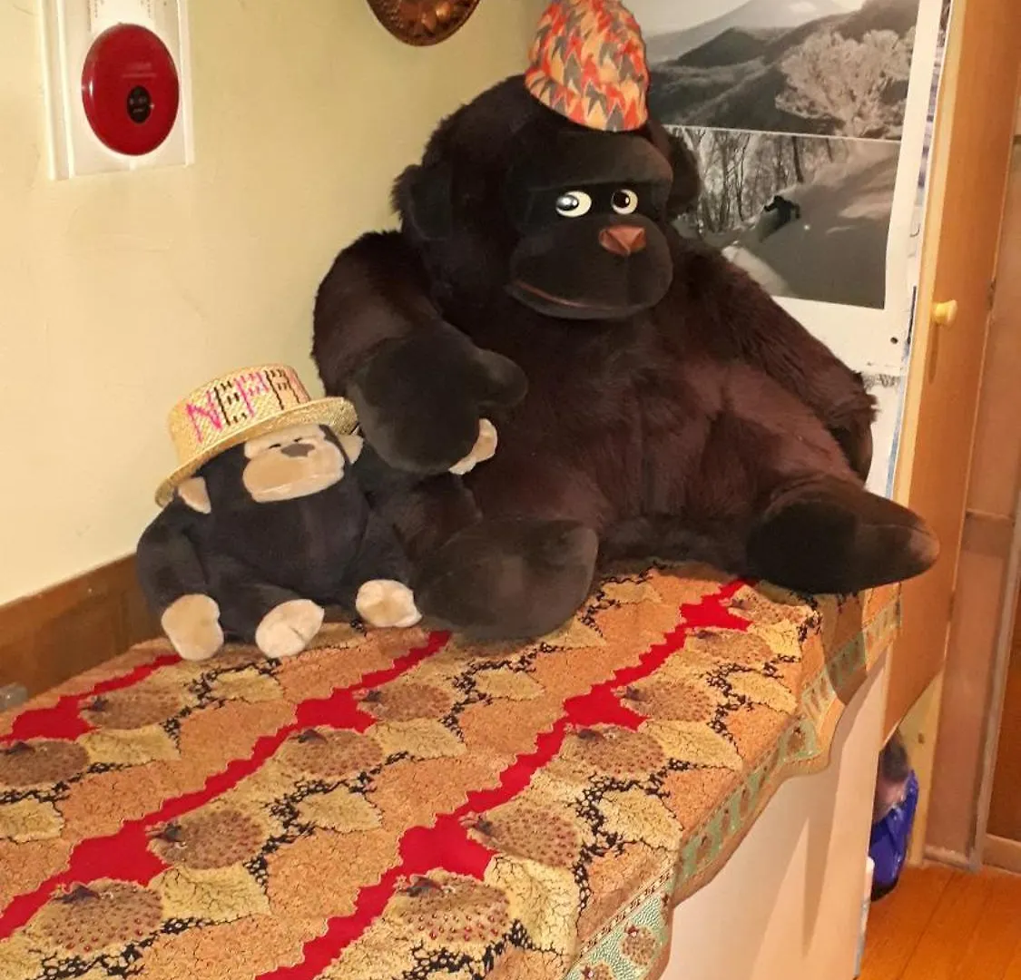 Bistare Kana Niseko